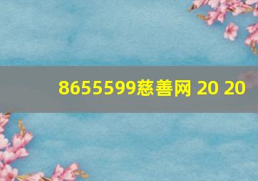 8655599慈善网 20 20